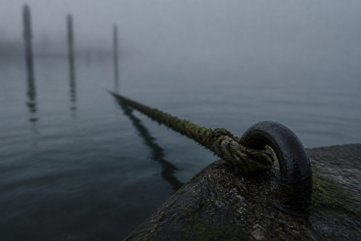 Nevel aan de ring op het IJsselmeer